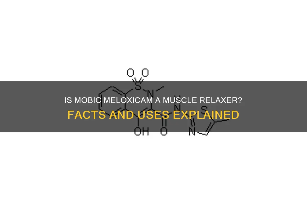 is mobic meloxicam muscle relaxer