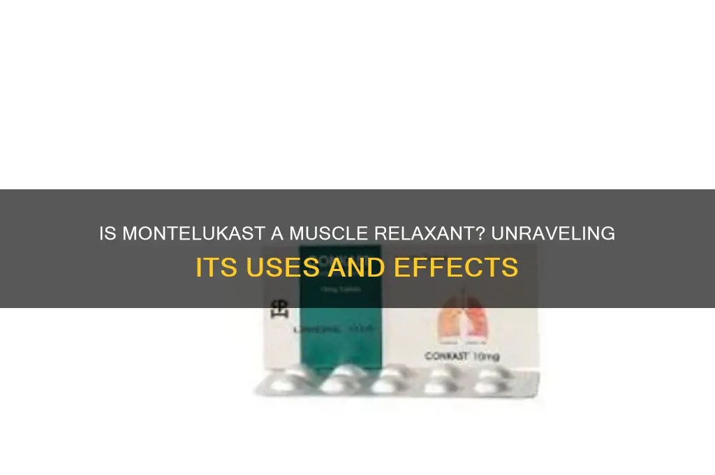 is montelukast muscle relaxant