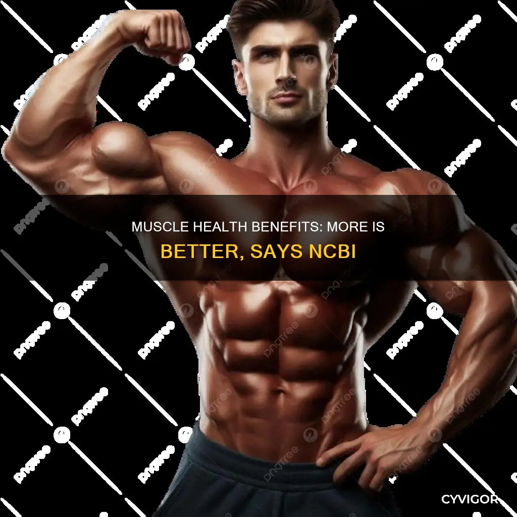 is more muscle healthier ncbi