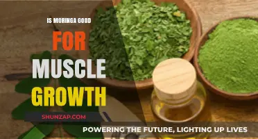 Moringa's Muscle-Building Benefits: Unlocking Growth Potential Naturally