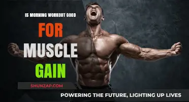 Morning Workouts for Muscle Gain: Benefits and Best Practices