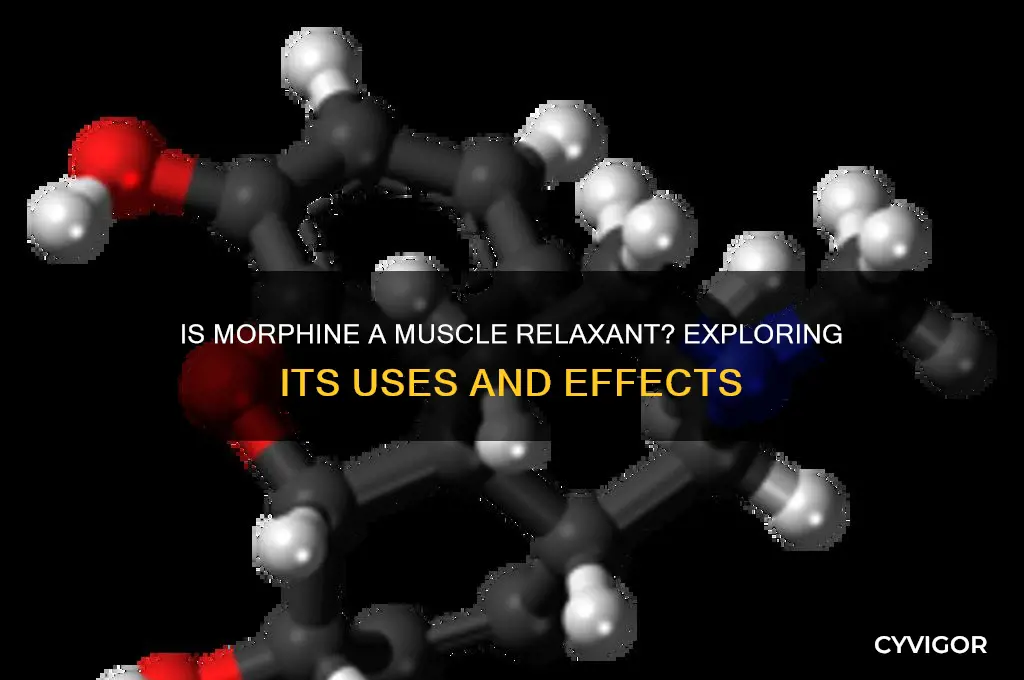 is morphine a muscle relaxant