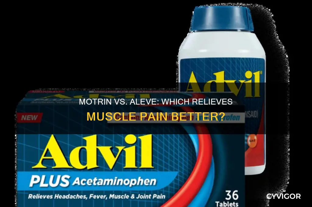 is motrin or aleve better for muscle pain