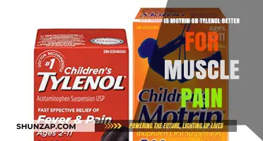 Motrin vs. Tylenol: Which Works Best for Muscle Pain Relief?