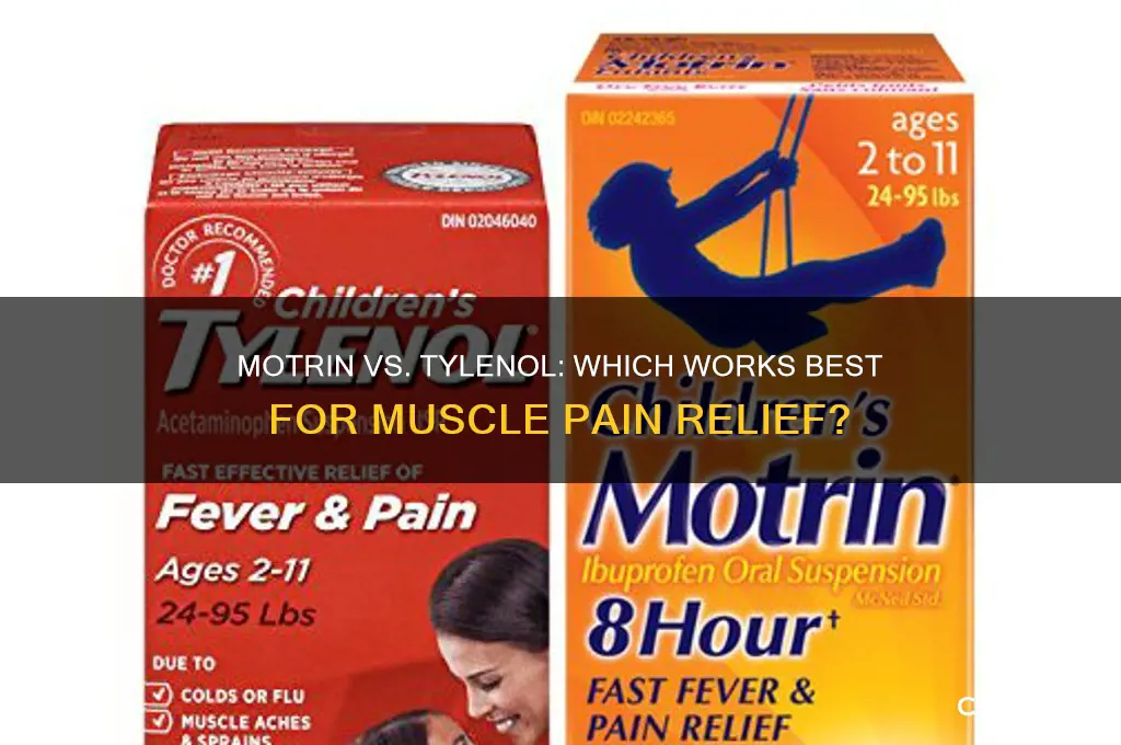 is motrin or tylenol better for muscle pain