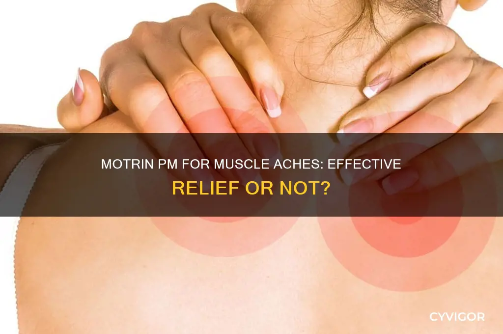 is motrin pm good for muscle aches