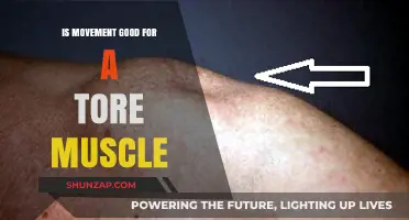 Movement and Torn Muscles: Healing Benefits or Risky Practice?