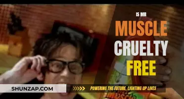 Mr Muscle: Ethical Cleaning Power?
