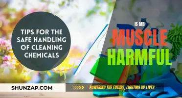 Mr Muscle: Harmful or Harmless?