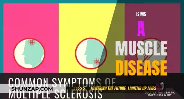 Understanding Multiple Sclerosis: Unraveling the Mystery of MS