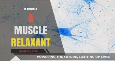 Is Mucinex a Muscle Relaxant? Debunking Myths and Understanding Uses