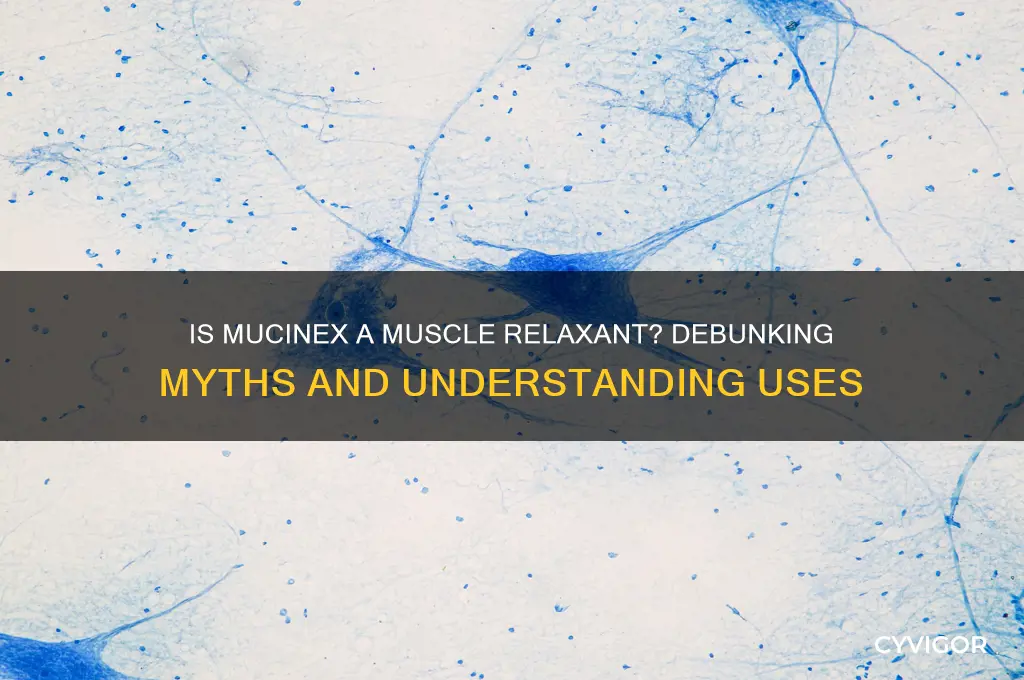 is mucinex a muscle relaxant