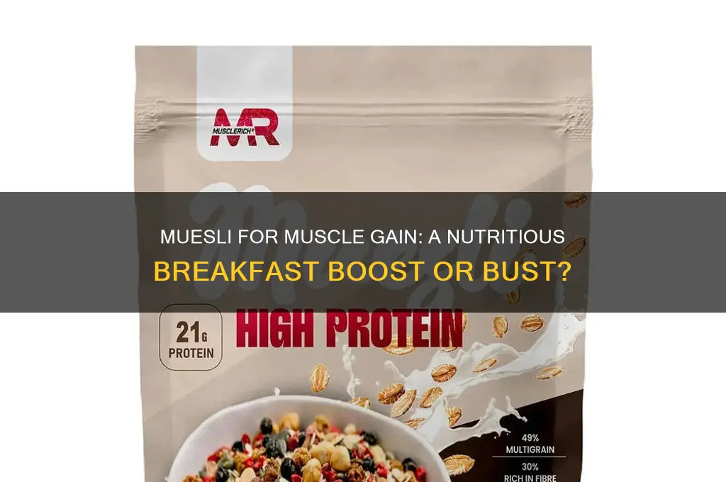 is muesli good for muscle gain