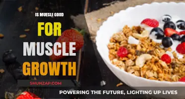 Muesli for Muscle Growth: Benefits, Nutrition, and Effective Strategies
