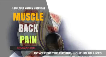 Multiple Myeloma Back Pain: Nerve or Muscle-Related Symptoms Explained