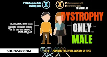 Muscular Dystrophy: A Male-Only Condition?