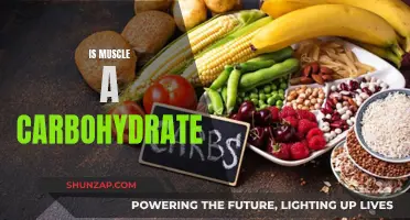 Muscle and Carbohydrates: What's the Real Connection?