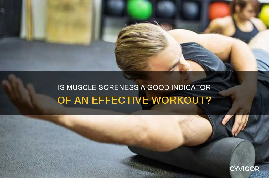 is muscle a je sgter workout good