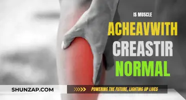Muscle Aches After Creatine: Normal or Not?