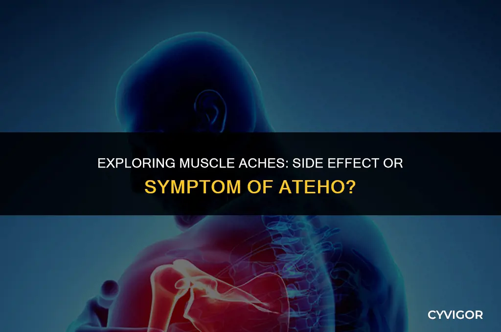 is muscle aches a side affect or ateho