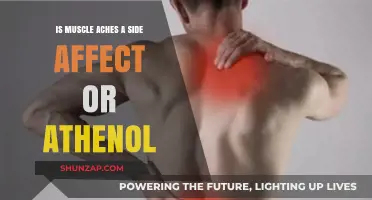 Muscle Aches: Side Effect or Athletic Performance Indicator?
