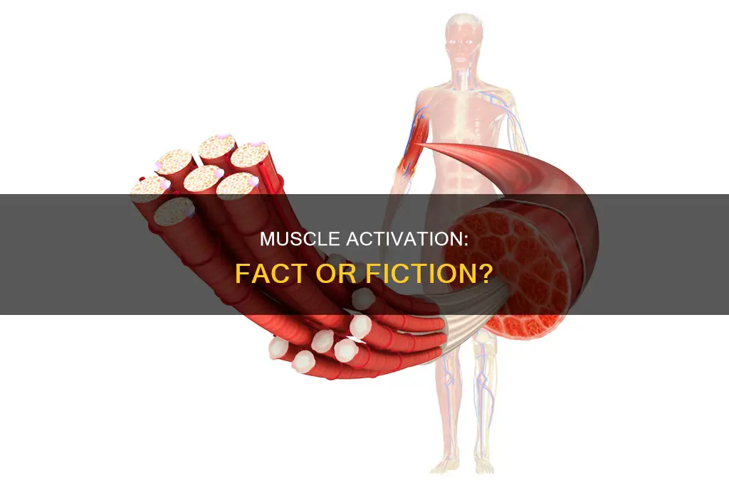 is muscle activation real