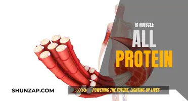 Muscle Tissue: Beyond Just Protein