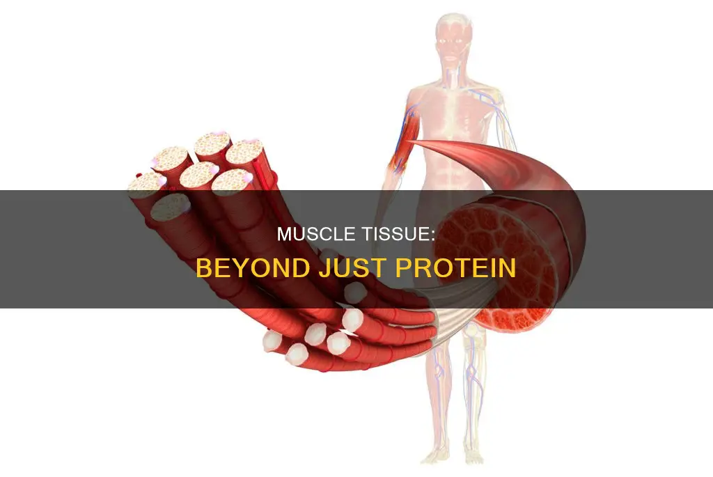 is muscle all protein