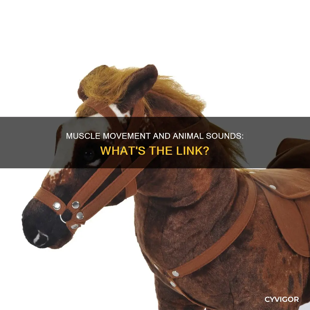 is muscle an animal sound