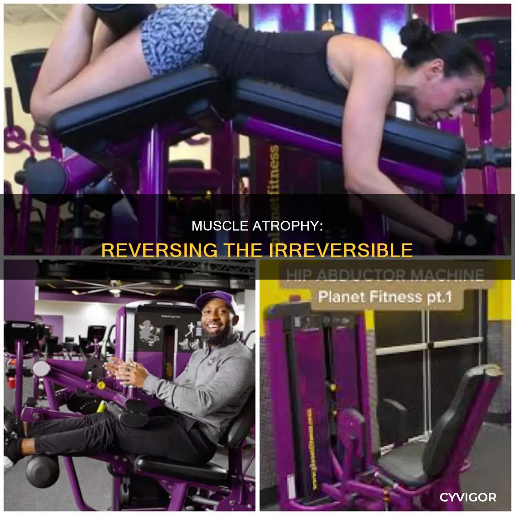 is muscle atrophy curable