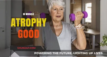 Muscle Atrophy: Understanding Its Impact and Potential Benefits