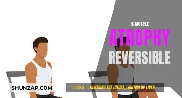 Reversing Muscle Atrophy: Is It Possible?