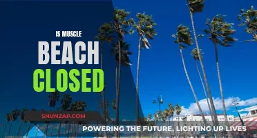 Muscle Beach Closure: What You Need to Know