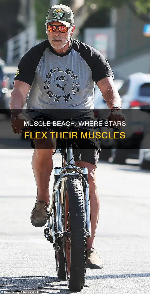 is muscle beach famous people