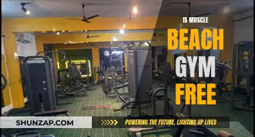 Muscle Beach Gym: Free Access to Fitness Paradise