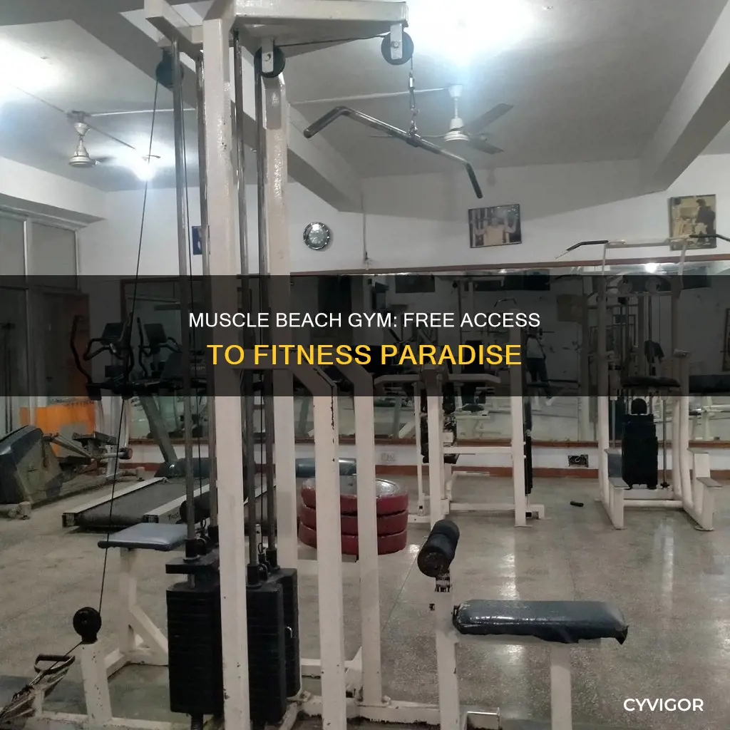 is muscle beach gym free