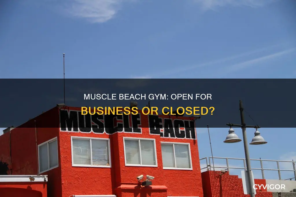 is muscle beach gym open