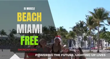 Muscle Beach Miami: Free Access to Fitness Paradise