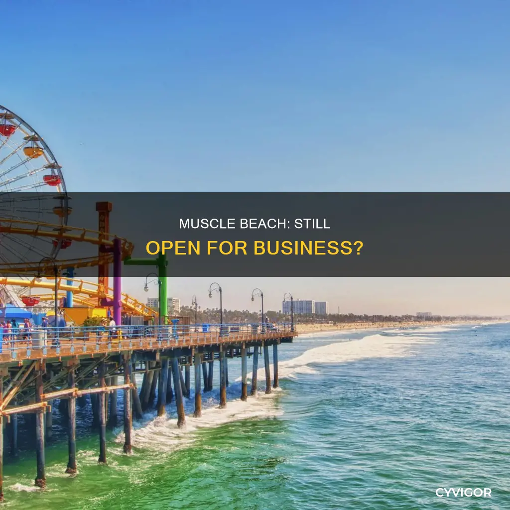 is muscle beach still open