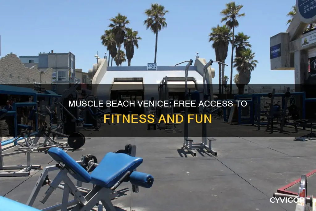 is muscle beach venice free