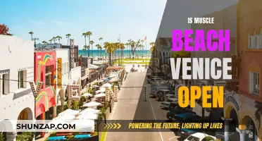 Muscle Beach Venice: Open and Pumped Up!
