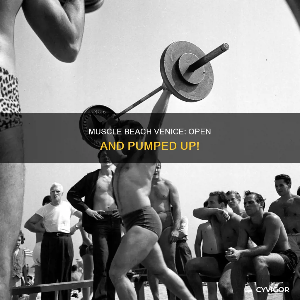 is muscle beach venice open