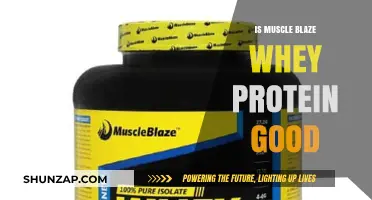 Is MuscleBlaze Whey Protein Worth It? A Comprehensive Review