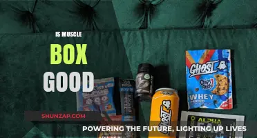 Is Muscle Box Worth It? A Comprehensive Review and Analysis