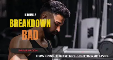 Muscle Breakdown: Friend or Foe?