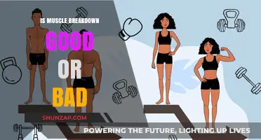 Muscle Breakdown: Unlocking Growth or Hindering Fitness Goals?