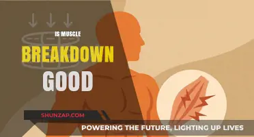 Muscle Breakdown: Is It Beneficial for Growth and Recovery?