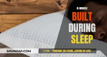 How Sleep is Crucial for Muscle Growth and Recovery