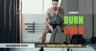 Is Muscle Burn Beneficial for Strength, Endurance, and Fitness Goals?