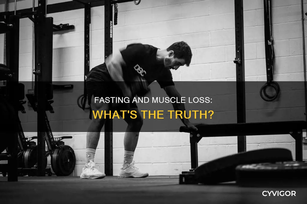 is muscle burned during fasting